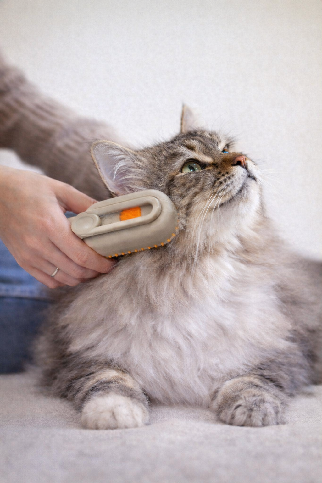 Cepillo de Vapor Con Mango🐱🐶